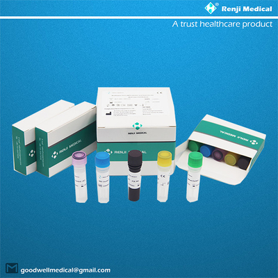 Monkeypox Virus (MPV) ชุดตรวจหากรดนิวคลีอิก (วิธี PCR แบบเรียลไทม์)