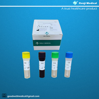 ชุดทดสอบกรดนิวคลีอิกนวนิยาย Coronavirus COVID-19 CE การทดสอบเชิงคุณภาพ Rt Pcr