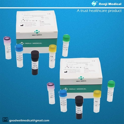 ชุดตรวจหากรดนิวคลีอิกไวรัส Monkeypox (MPV) ชุดทดสอบที่บ้านอย่างรวดเร็ว ชุด PCR แบบเรียลไทม์