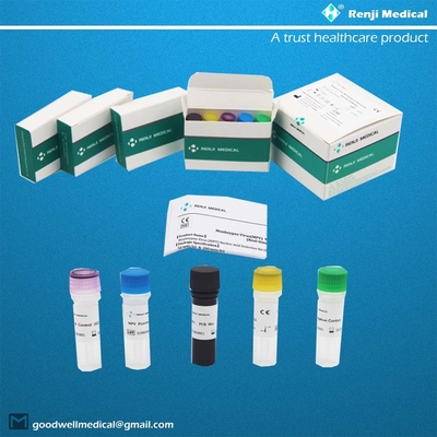 ชุดตรวจหากรดนิวคลีอิกไวรัส Monkeypox (MPV) ชุดทดสอบที่บ้านอย่างรวดเร็ว ชุด PCR แบบเรียลไทม์