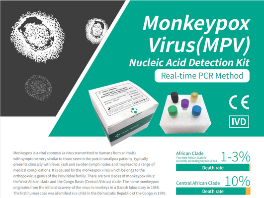 ชุดตรวจหากรดนิวคลีอิกไวรัส Monkeypox (MPV) ชุดทดสอบที่บ้านอย่างรวดเร็ว ชุด PCR แบบเรียลไทม์