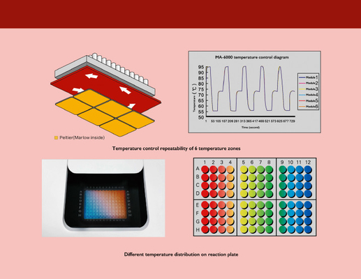 เครื่องสกัดกรดนิวคลีอิก MSDS, เครื่อง PCR เชิงปริมาณแบบเรียลไทม์ MA6000