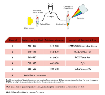 เครื่องสกัดกรดนิวคลีอิก MSDS, เครื่อง PCR เชิงปริมาณแบบเรียลไทม์ MA6000